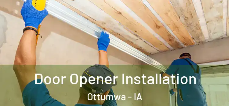Door Opener Installation Ottumwa - IA