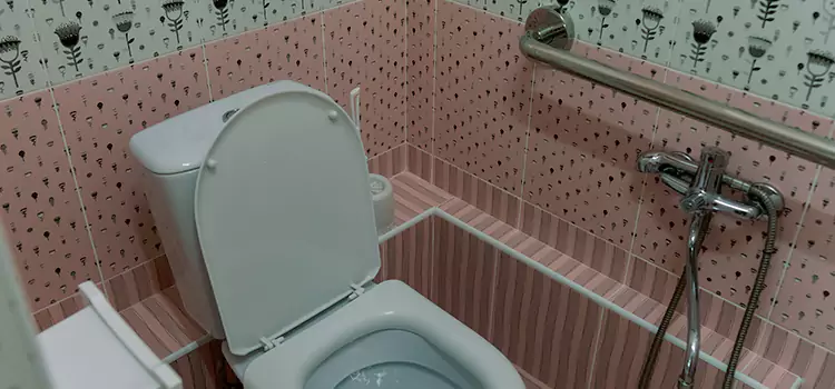 Meeting Diverse Needs With Accessible Restroom Solutions in Ottumwa, IA