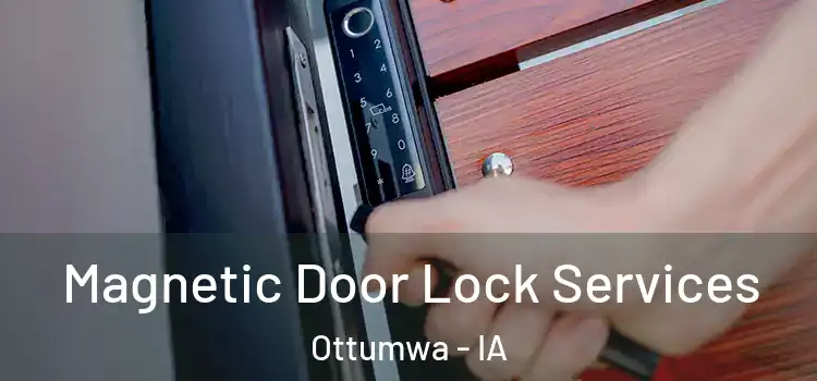 Magnetic Door Lock Services Ottumwa - IA